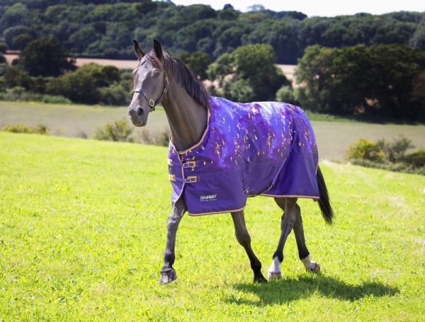 Tempest Original 100 Turnout Rug