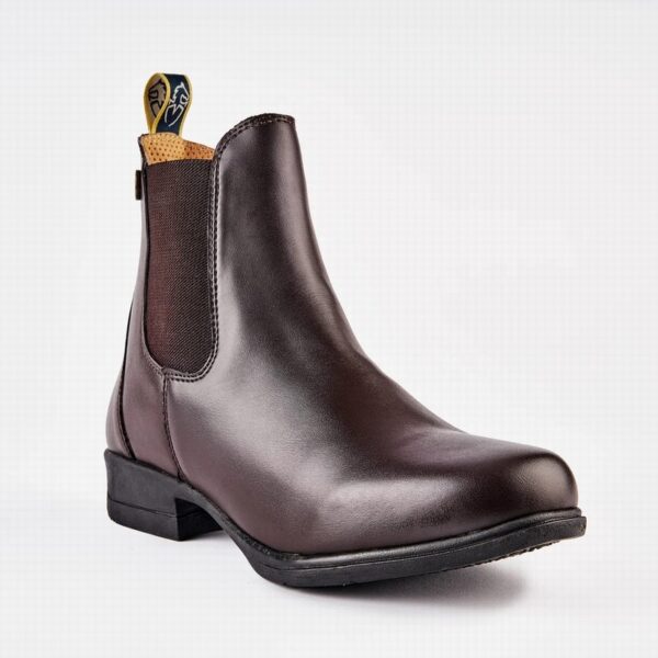 Moretta Alma Synthetic Jodhpur Boots