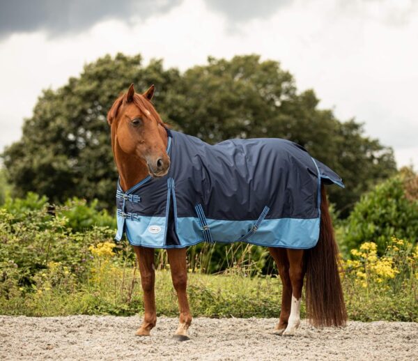 Equii-Est Caravella 100g Turnout Rug