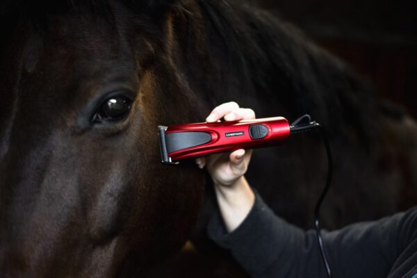 Liveryman Bruno Clippers - Image 2