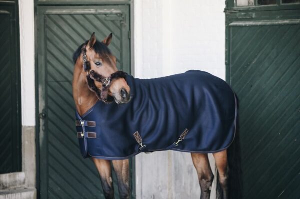 Kentucky 3D spacer Cooler Sheet Navy