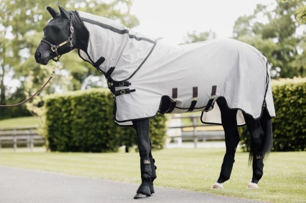 Kentucky Mesh Fly Rug Beige