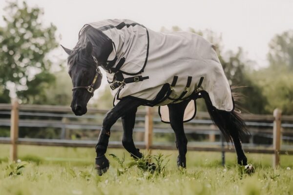 Kentucky Mesh Fly Rug Beige - Image 2