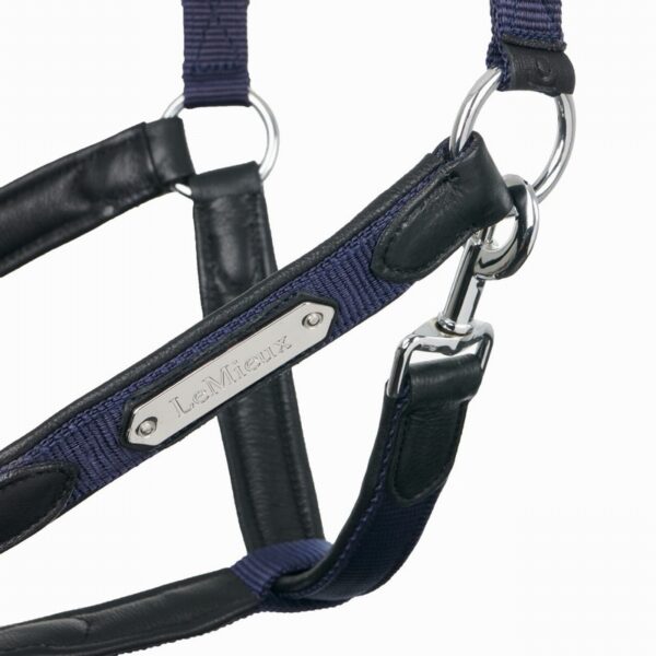 Capella Headcollar Navy - Image 2