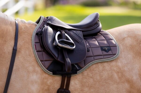 Loire Classic GP Sqaure Walnut - Image 2