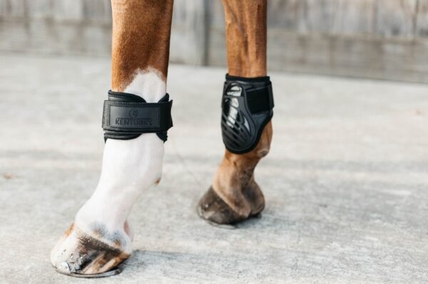 Kentucky Young Horse Fetlock Boots Black - Image 2