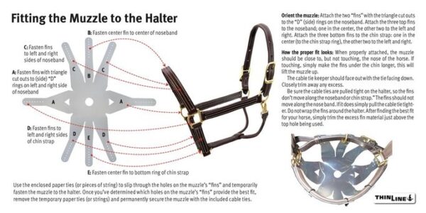 Flexible Filly Grazing Muzzle - Image 3
