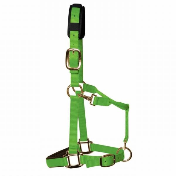 KM Elite Luxury Padded Headcollar Hot Green